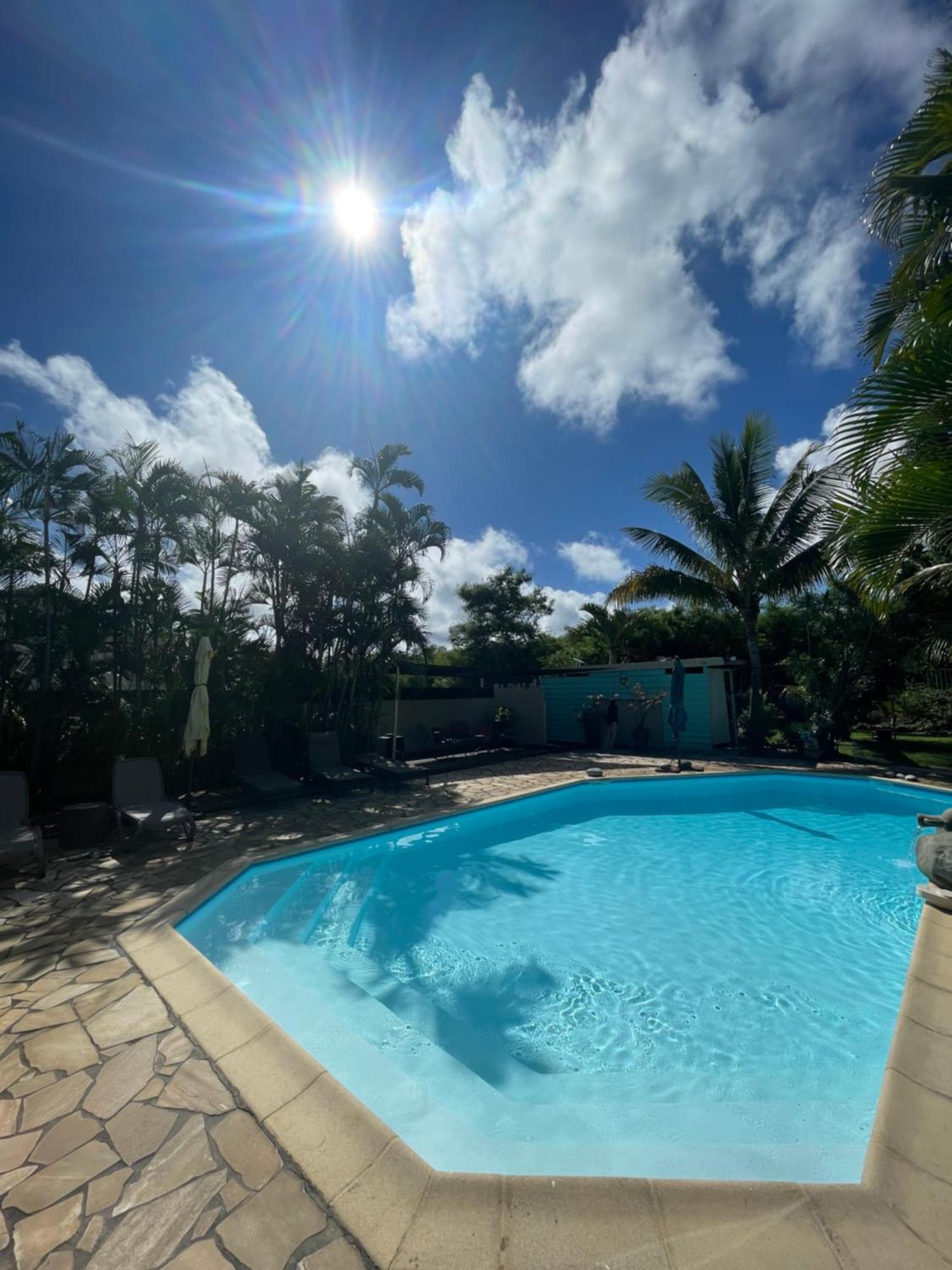 Villa Albizia 974 Avec Piscine Et Spa サン・ピエール エクステリア 写真